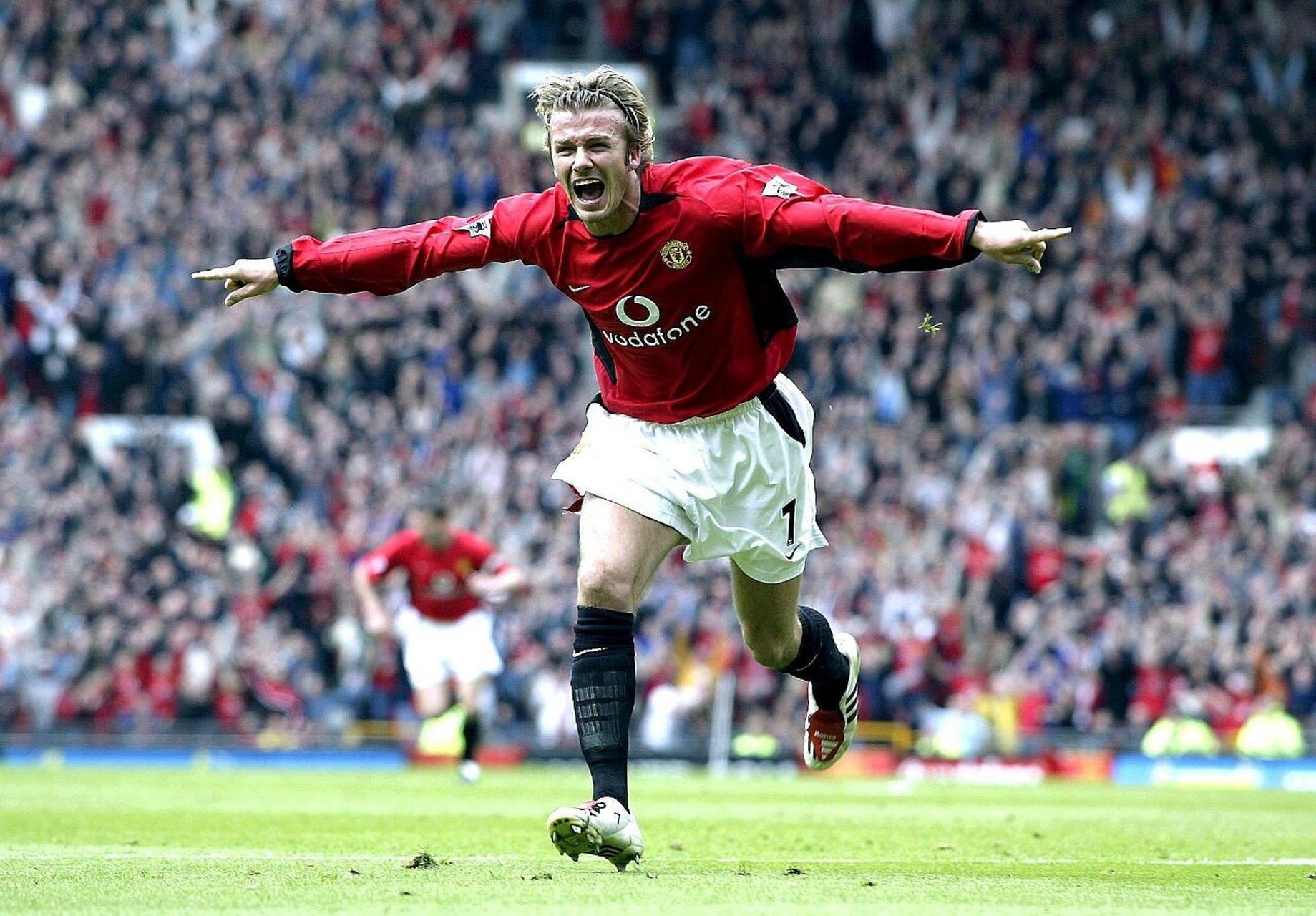 从一系列A 从一系列A